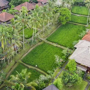 ananda-cottages-ubud-bali.ubudhotelsnow.com/